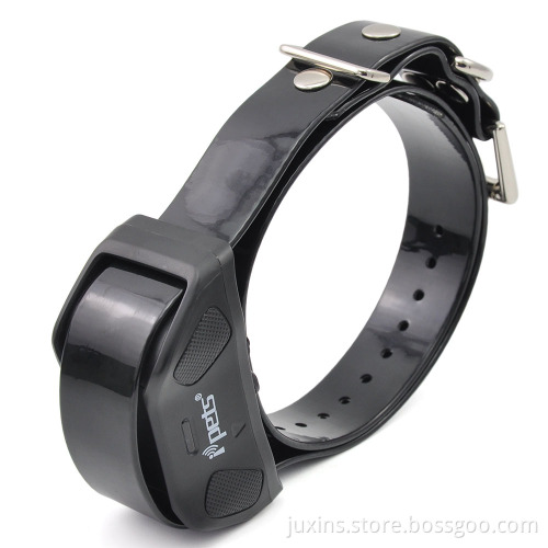 Ipets PET618-1 Rechargeable 800M Vibration Electric Collar For Dogs